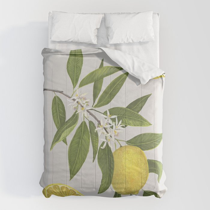Lemon Tree Comforter Gallery Image 1