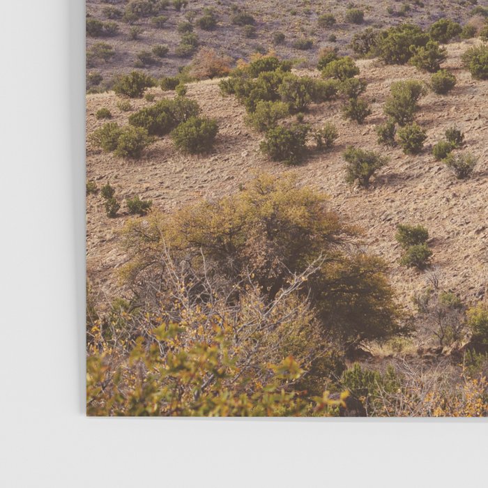 Davis Mountains Vista West Texas Photography Poster Gallery Image 3