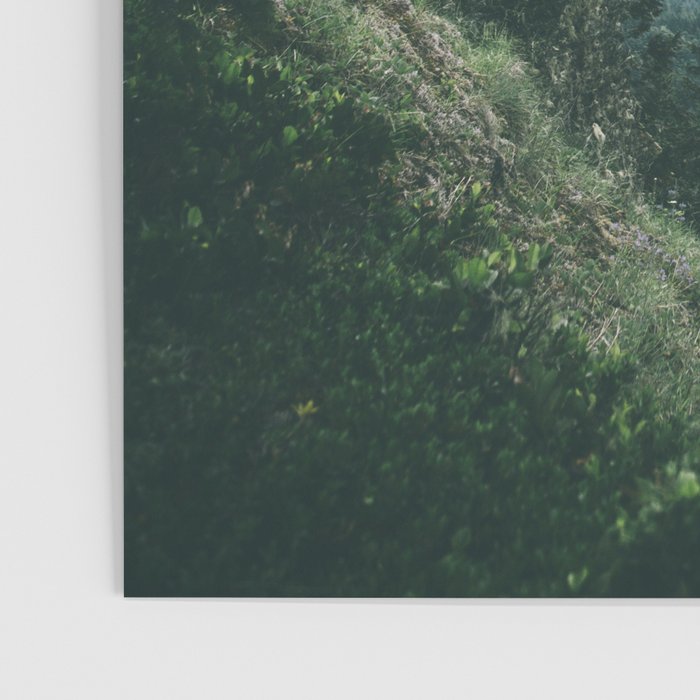 Oregon  Poster Gallery Image 3