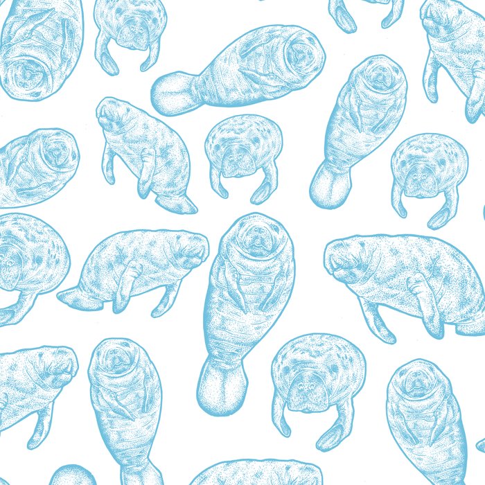 Manatees - Light Blue Coffee Mug Gallery Image 2