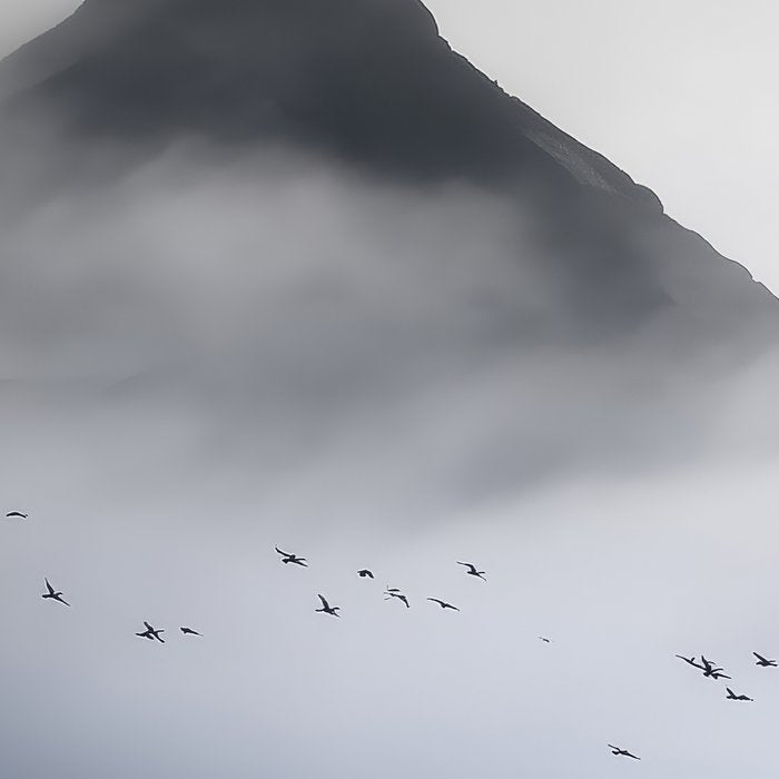 Still Summit - Birds Over Foggy Ridge Coffee Mug Gallery Image 2