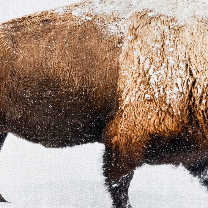 Buffalo In The Snow Coffee Mug Gallery Image 2