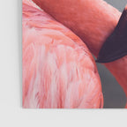Pink Flamingo Poster Gallery Image 3