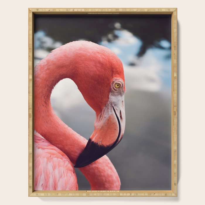Pink Flamingo Serving Tray Gallery Image 1