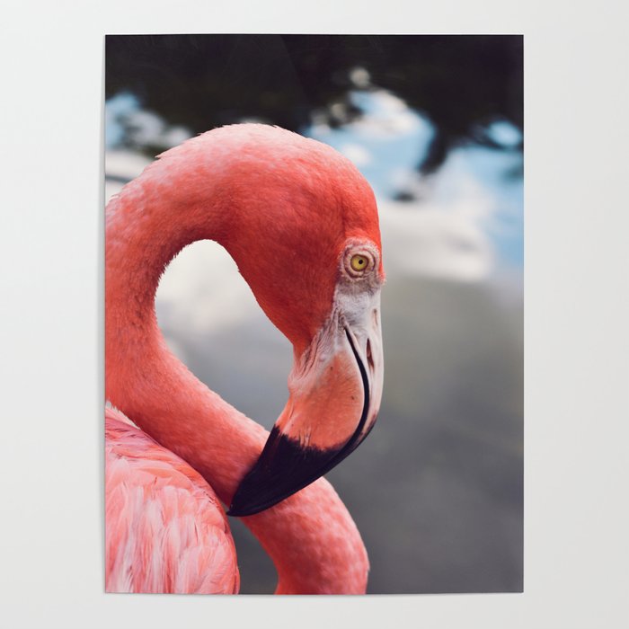 Pink Flamingo Poster Gallery Image 4