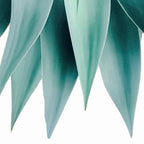 Agave fringe Coffee Mug Gallery Image 2