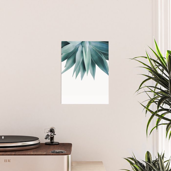 Agave fringe Poster Gallery Image 2