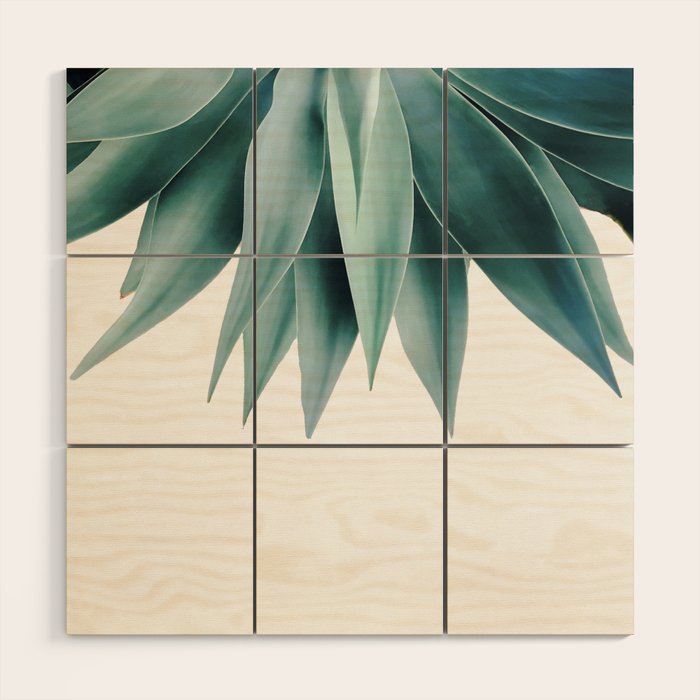 Agave fringe Wood Wall Art Gallery Image 1