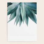 Agave fringe Poster Gallery Image 4