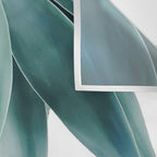 Agave fringe Wall Tapestry Gallery Image 3