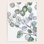 Eucalyptus Green Watercolor Poster Gallery Image 4