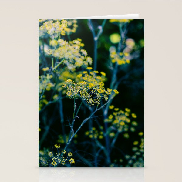 Dill Flower Stationery Card Gallery Image 2