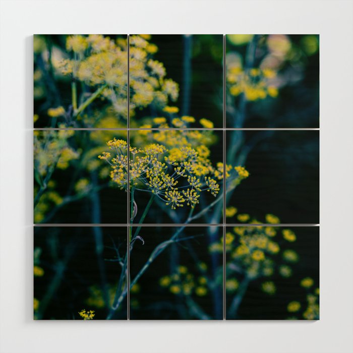 Dill Flower Wood Wall Art Gallery Image 1