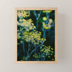 Dill Flower Mini Art Print Gallery Image 1