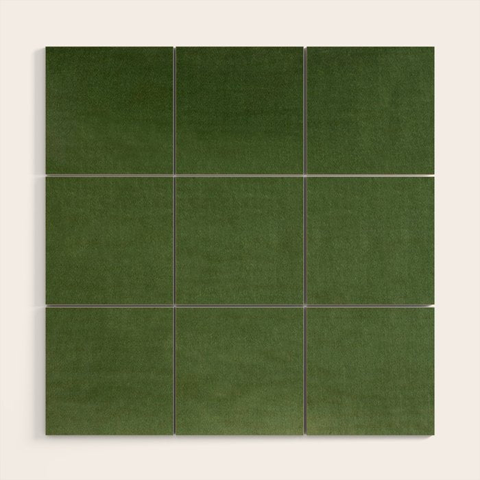 Sage Green Velvet texture Wood Wall Art Gallery Image 1