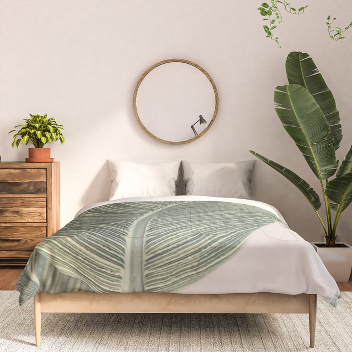 Calah Comforter Gallery Image 3