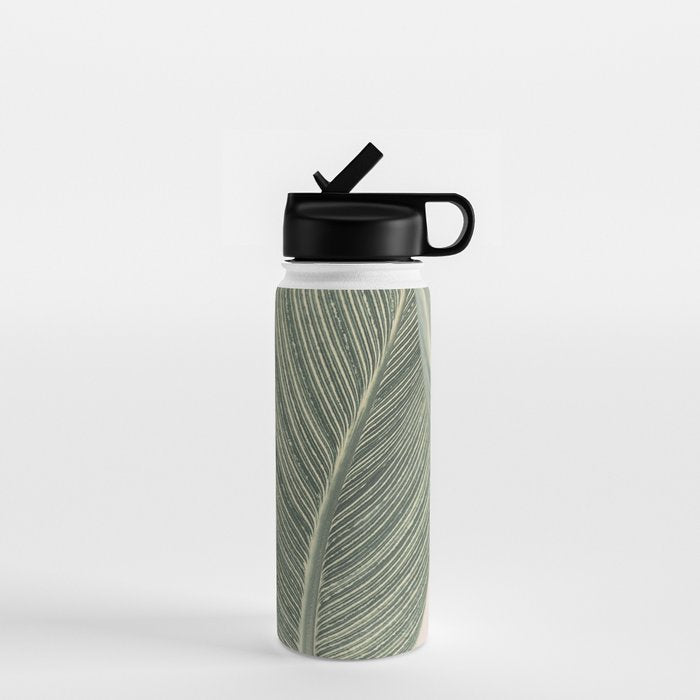 Calah Water Bottle Gallery Image 1