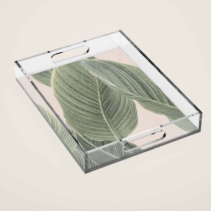 Calah Acrylic Tray Gallery Image 1