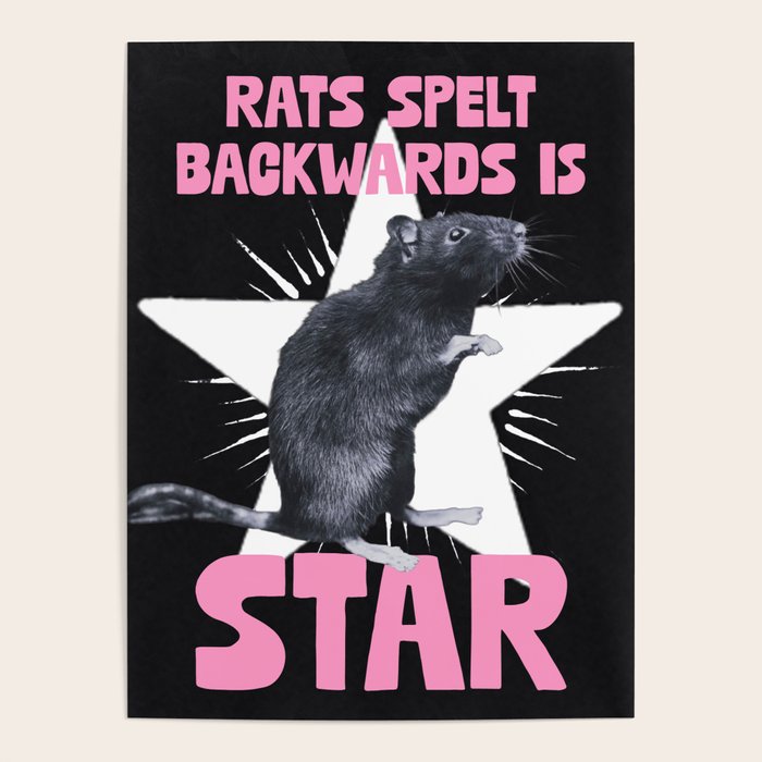 Rats spelt backwards is STAR Poster Gallery Image 4