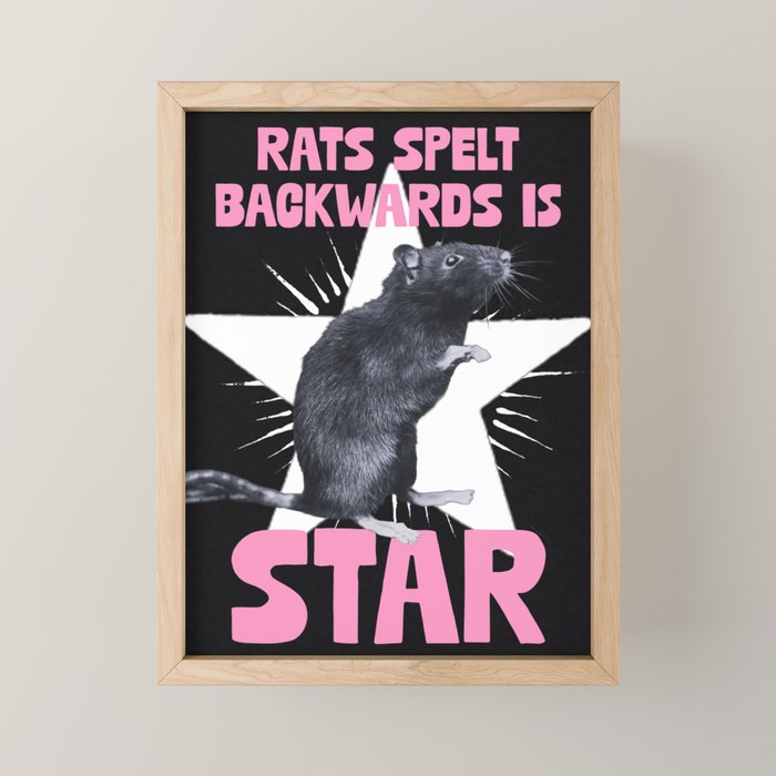Rats spelt backwards is STAR Mini Art Print Gallery Image 1