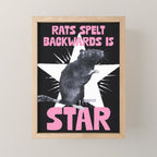Rats spelt backwards is STAR Mini Art Print Gallery Image 1