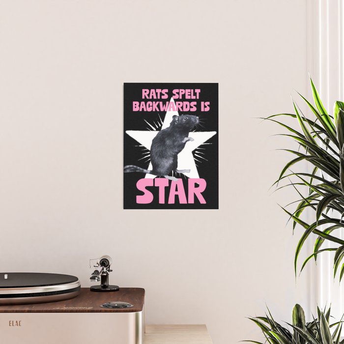 Rats spelt backwards is STAR Poster Gallery Image 2