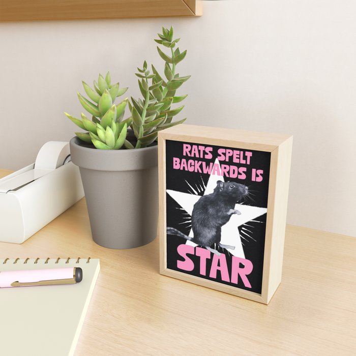 Rats spelt backwards is STAR Mini Art Print Gallery Image 2