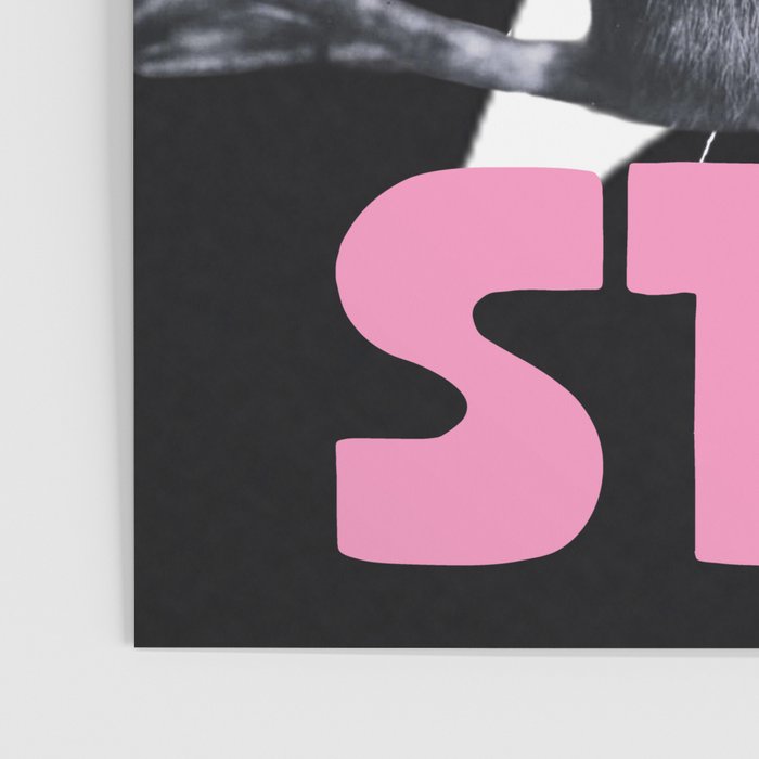 Rats spelt backwards is STAR Poster Gallery Image 3