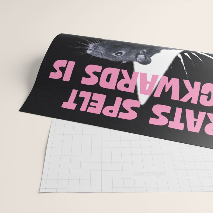 Rats spelt backwards is STAR Wrapping Paper Gallery Image 2