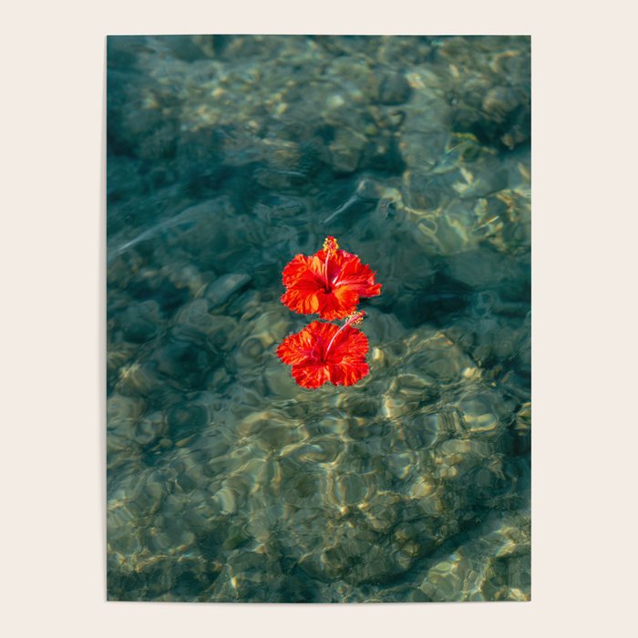 Hibiscus Love Poster Gallery Image 4