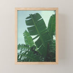 Tropical Evening Mini Art Print Gallery Image 1