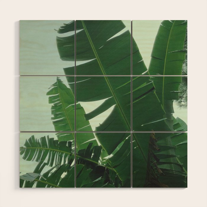 Tropical Evening Wood Wall Art Gallery Image 1