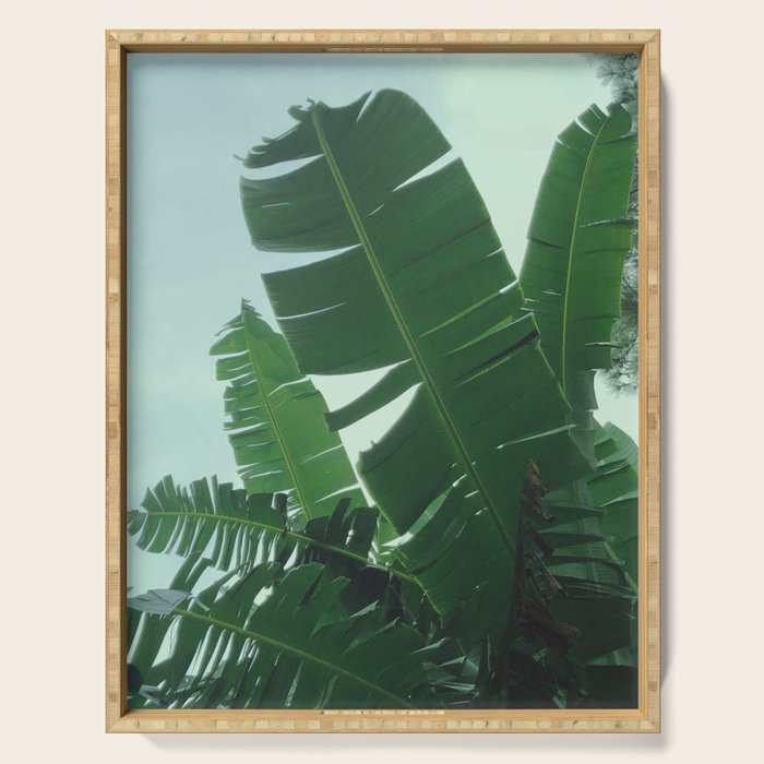 Tropical Evening Serving Tray Gallery Image 1