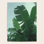 Tropical Evening Poster Gallery Image 4