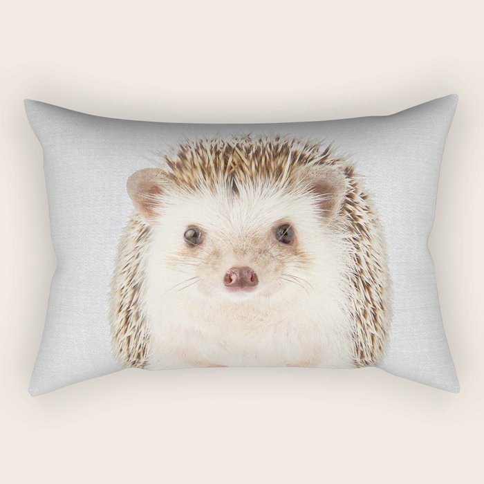 Hedgehog - Colorful Rectangular Pillow Gallery Image 2