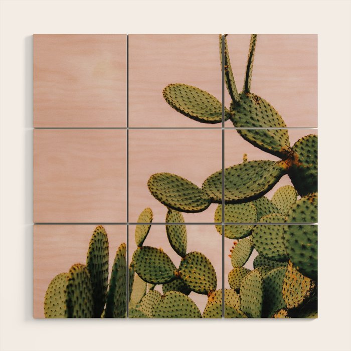 Cactus on Pink Sky Wood Wall Art Gallery Image 1