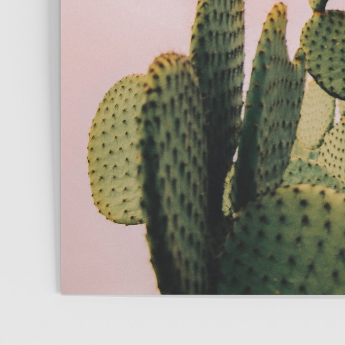Cactus on Pink Sky Poster Gallery Image 3
