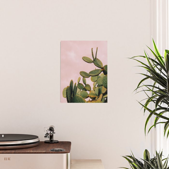 Cactus on Pink Sky Poster Gallery Image 2