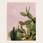 Cactus on Pink Sky Poster Gallery Image 4