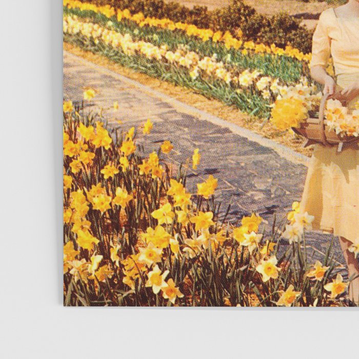 Spring Walk (Daffodils and Cows) Poster Gallery Image 3