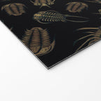 Trilobites - Marine Fossil Pattern Welcome Mat Gallery Image 2