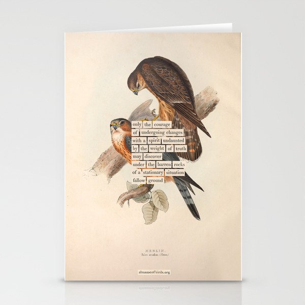 Bird Divinations: Merlin (about: almanacofbirds.org) Stationery Card Gallery Image 1