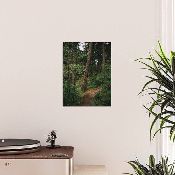 Forest Trail II Poster Gallery Image 2