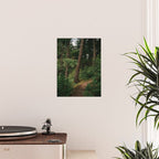 Forest Trail II Poster Gallery Image 2
