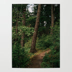 Forest Trail II Poster Gallery Image 4