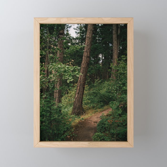 Forest Trail II Mini Art Print Gallery Image 1