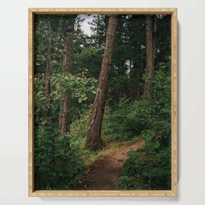 Forest Trail II Serving Tray Gallery Image 1