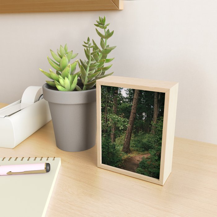 Forest Trail II Mini Art Print Gallery Image 2