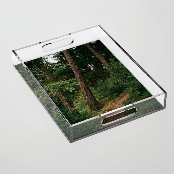 Forest Trail II Acrylic Tray Gallery Image 1