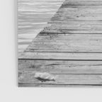 Steady As She Goes 6; aircraft coming in for an island landing female in bikini black and white photography - photographs - photograph Poster Gallery Image 3